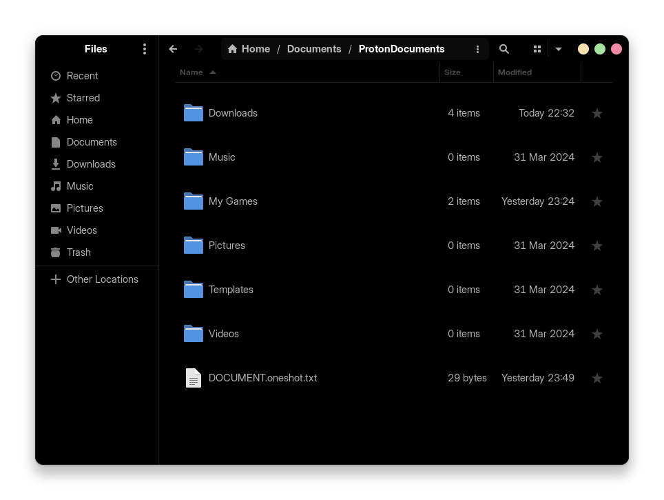 GNOME File Explorer (Nautilus) showing the ProtonDocuments symlink in your home directory's Documents folder.